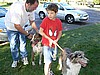 The Reeve Family Dogs